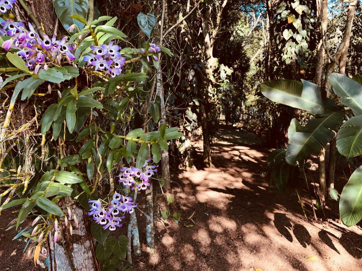 Chácara Quinta dos Esquilos Villa Cotia  Exterior foto